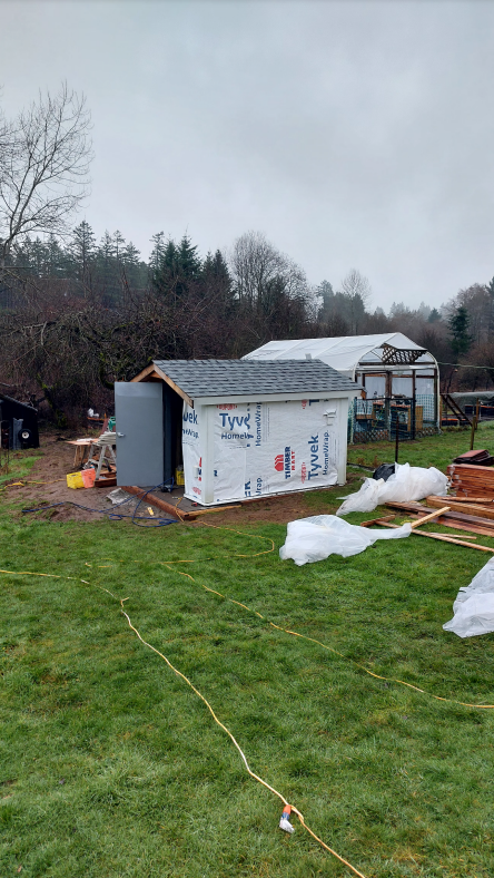 City Life Renovations Shed Before